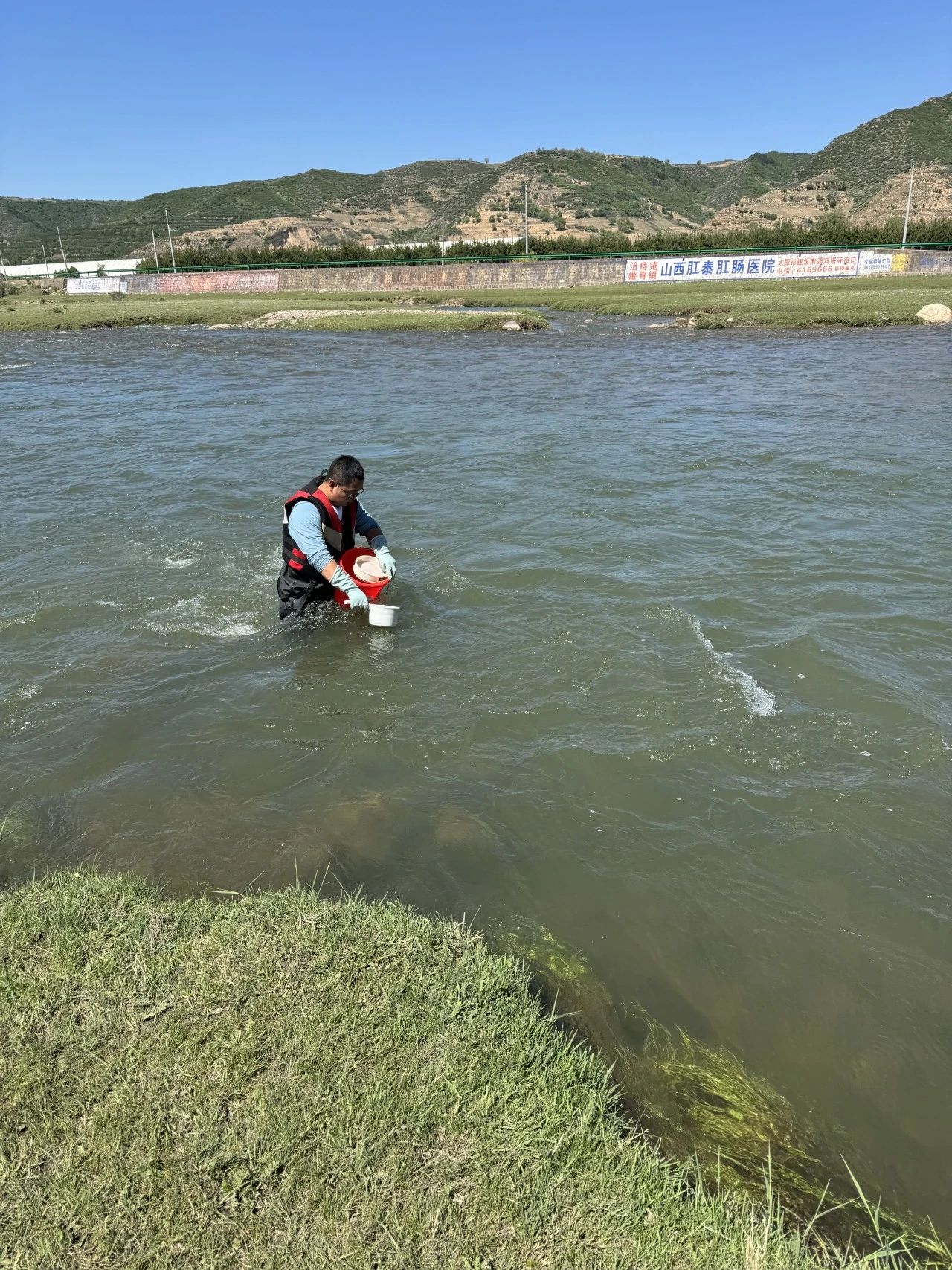 1718682326314881.jpg 87.4jpg.jpg