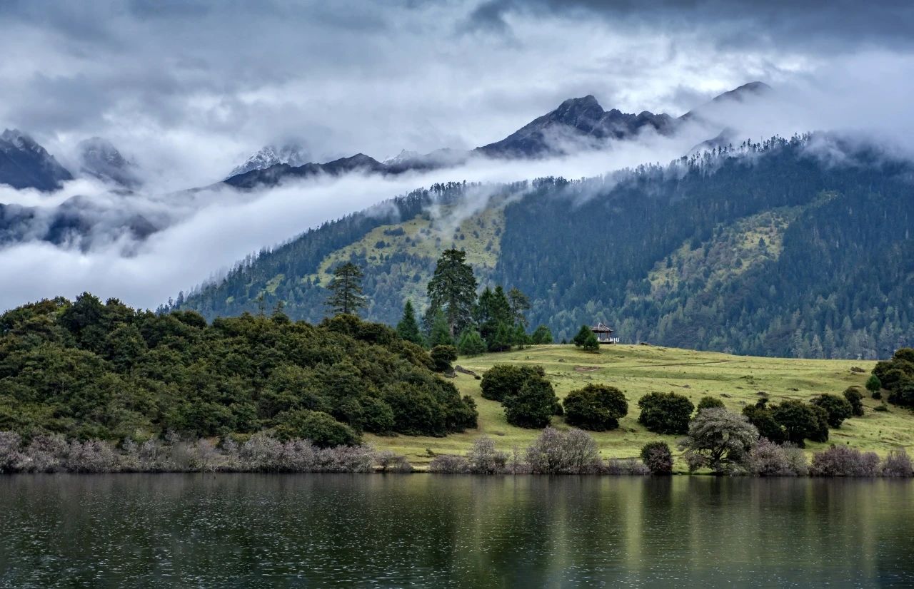 1718682372694423.jpg 87.9.jpg