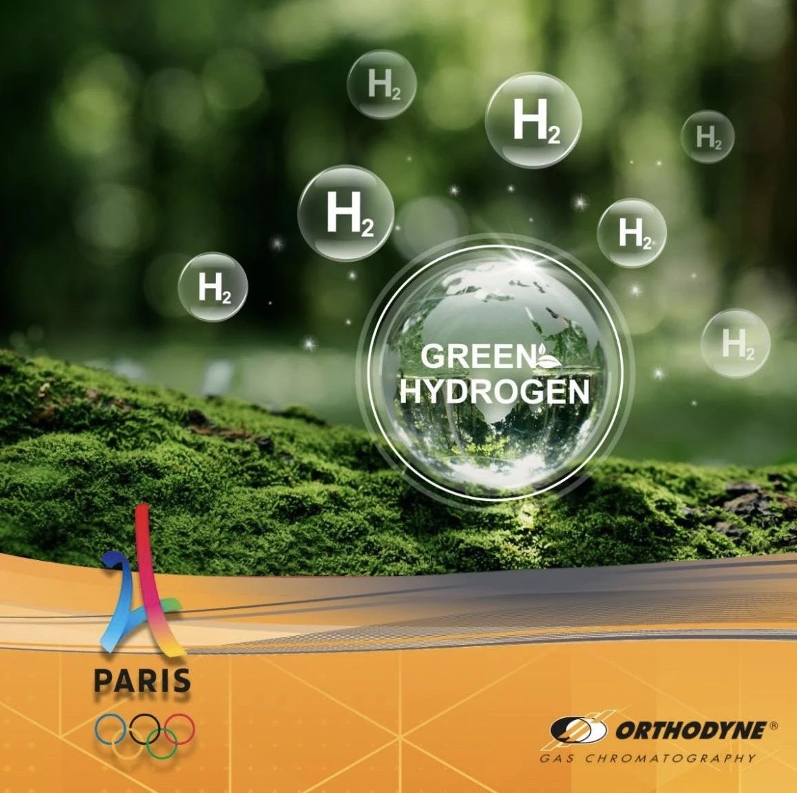 1724206923578466.jpg 95.2.jpg