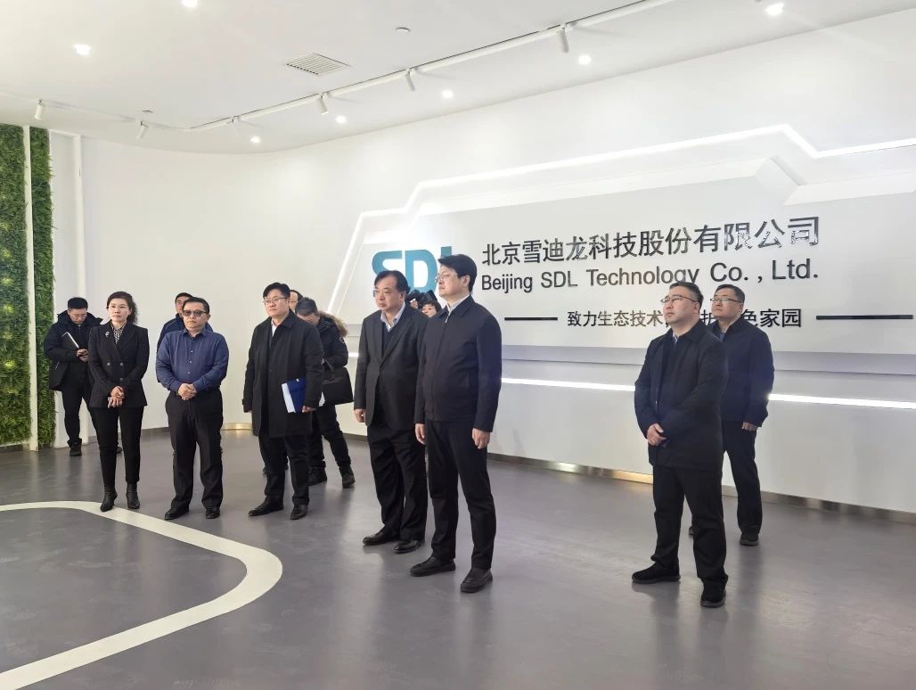 1739867154692344.jpg A20.1.jpg